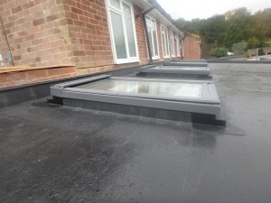 Project Tester – Roof ready for S.Pod Sedum roofing