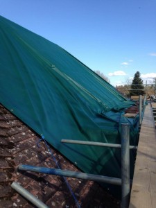 Ash Island – A Unique Approach